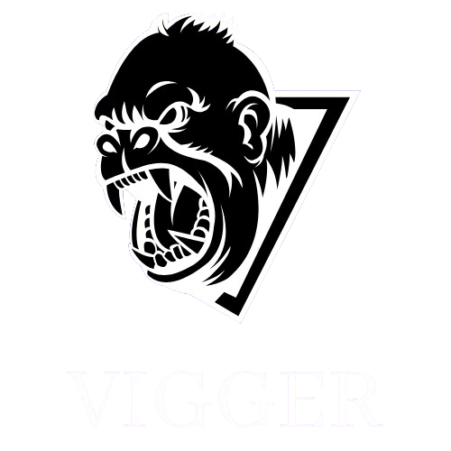 VIGGER OG